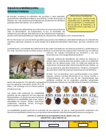 ACIDOS.pdf